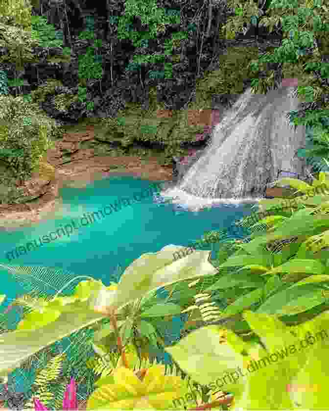 A Beautiful Waterfall In Jamaica Total Experience Corner: A Year In Jamaica