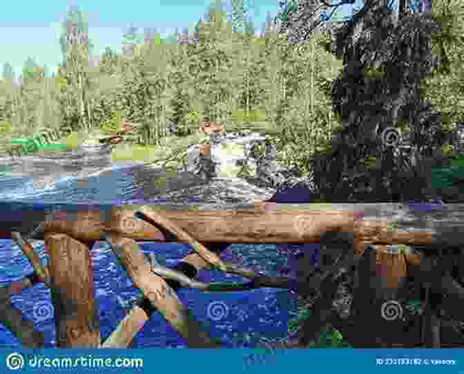 A Boat Sailing On A River In Karelia, Surrounded By Trees And Mountains. Sailing The Waterways Of Russia S North