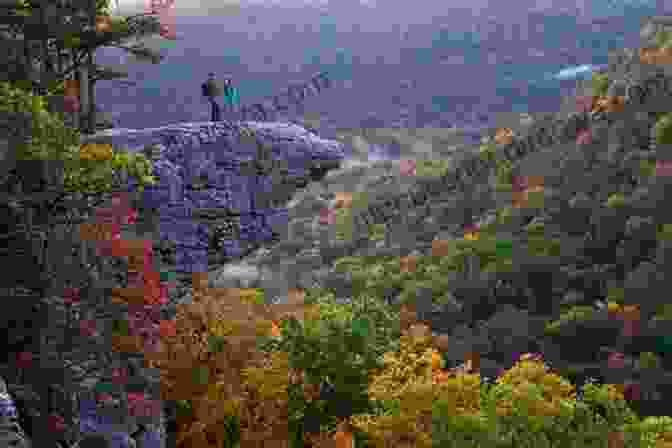 A Breathtaking View From The Top Of A Hiking Trail Overlooking A Lush Forest And Distant Mountains Best Easy Day Hikes San Antonio (Best Easy Day Hikes Series)