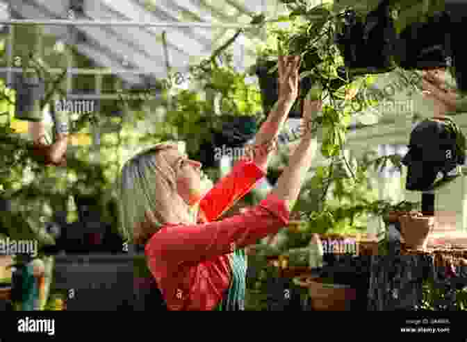 A Dedicated Gardener Meticulously Inspecting Her Plants, Ensuring Their Health And Productivity. From Trampoline To Vegetable Patch