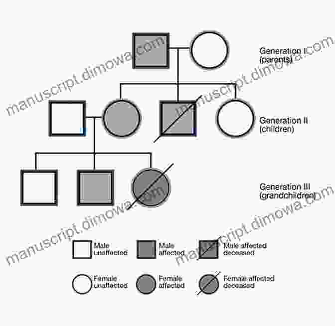 A Genealogical Tree, Showcasing The Inheritance Of Genetic Traits Through Generations. An To Markov Processes (Graduate Texts In Mathematics 230)