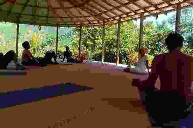 A Group Meditation In Jamaica Total Experience Corner: A Year In Jamaica