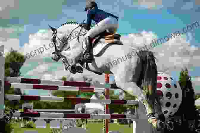 A Horse And Rider Soar Over An Obstacle During A Thrilling Jumping Competition. How To Start A Horse: Bridling To 1st Ride (Horse Training How To 4)