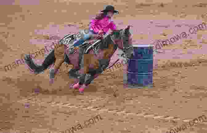 A Morgan Horse Galloping Through A Barrel Racing Course Rimfire: The Barrel Racing Morgan Horse (The Morgan Horse 6)