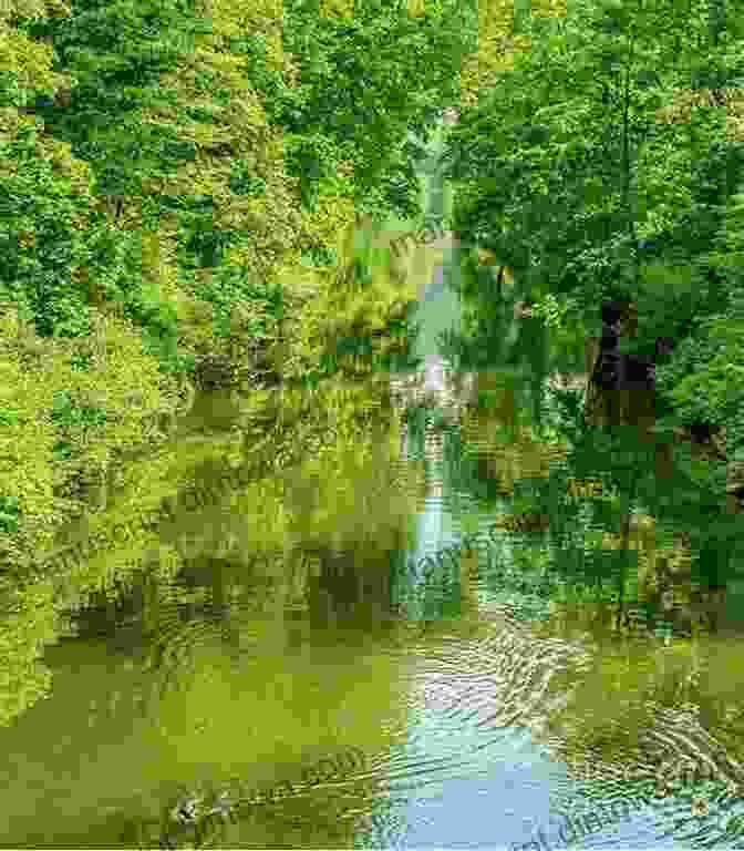 A Panoramic View Of A Tranquil River, Surrounded By Lush Greenery And Distant Mountains, With A Fly Fisher Casting Their Line In The Foreground. Jungle Blues: The Inappropriate Adventures Of A Fly Fishing Geek