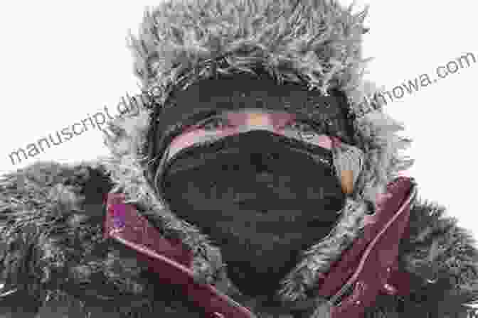 A Person Bundled Up In Warm Winter Gear, Showcasing The Importance Of Staying Protected From The Elements Land Of The Radioactive Midnight Sun: A Cheechako S First Year In Alaska