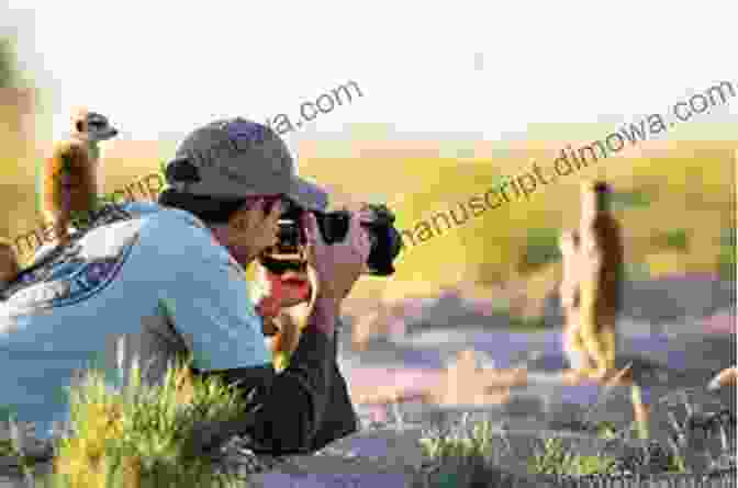 A Photographer Capturing A Stunning Wildlife Scene Enjoying The Great Outdoors: Outdoor Adventures