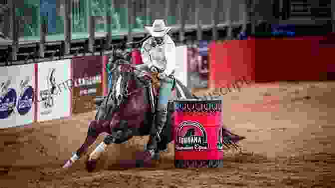 A Rider Training A Morgan Horse For Barrel Racing Rimfire: The Barrel Racing Morgan Horse (The Morgan Horse 6)