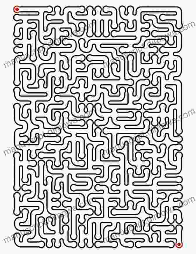 A Spread From The Book Showing A Maze Activity 123 Number Saurus Count With Me Chris Welles Feder