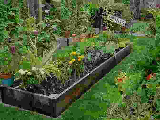 A Vibrant Display Of Vegetables Growing In Raised Beds, Showcasing The Beauty And Abundance Of An Edible Landscape. From Trampoline To Vegetable Patch