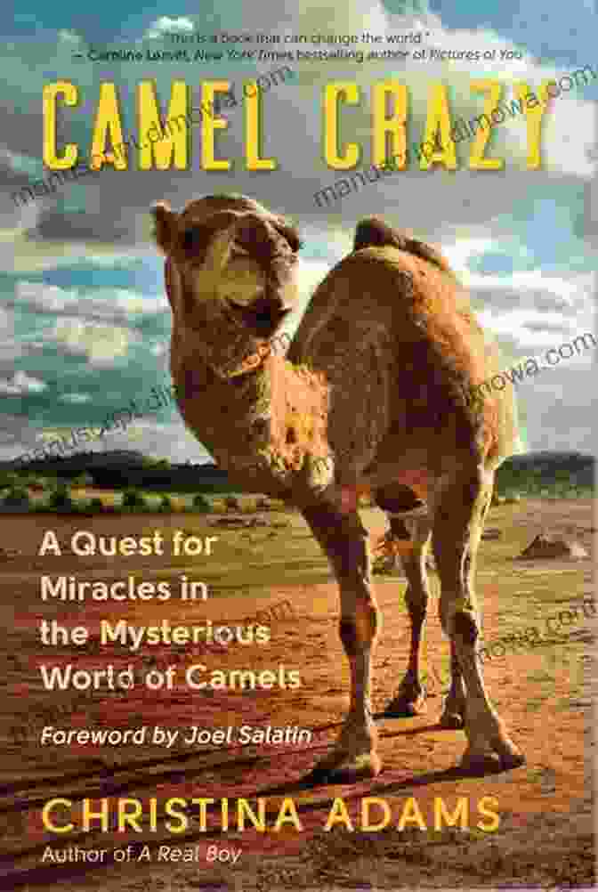 Adaptations Of Camels Camel Crazy: A Quest For Miracles In The Mysterious World Of Camels