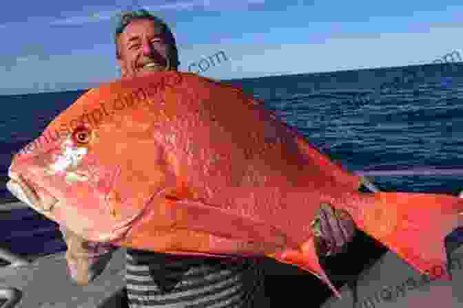 Angler Holding A Large Fish Caught Using The Techniques Described In The Book The Hand Of Angling For Scotland And The BFree Download Counties: Embracing The Practical Experience Of Thirty Years Fishing With Map And Routes S