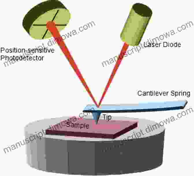 Atomic Force Microscopy (AFM) For Semiconductor Characterization Quantitative Data Processing In Scanning Probe Microscopy: SPM Applications For Nanometrology (Micro And Nano Technologies)