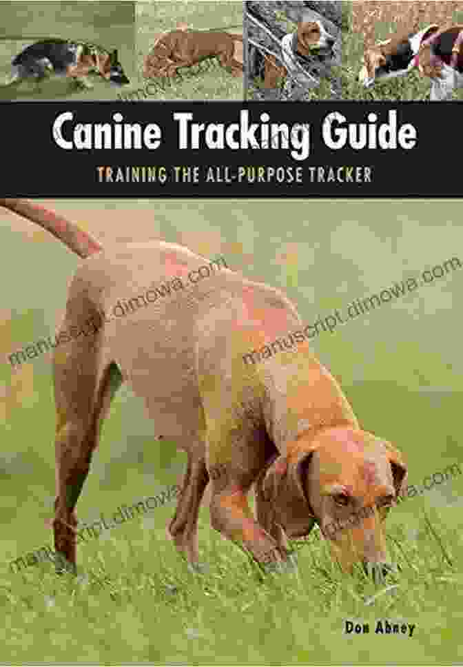 Author 2 Canine Tracking Guide: Training The All Purpose Tracker (Country Dog)