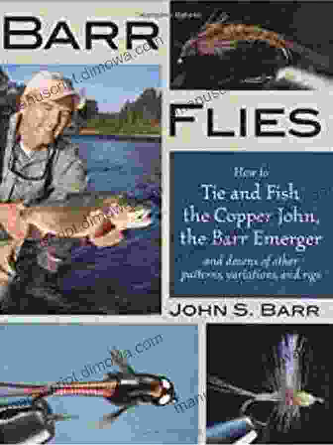 Book Cover Of Barr Flies: How To Tie And Fish The Copper John The Barr Emerger And Dozens Of Other Patterns Variations And Rigs