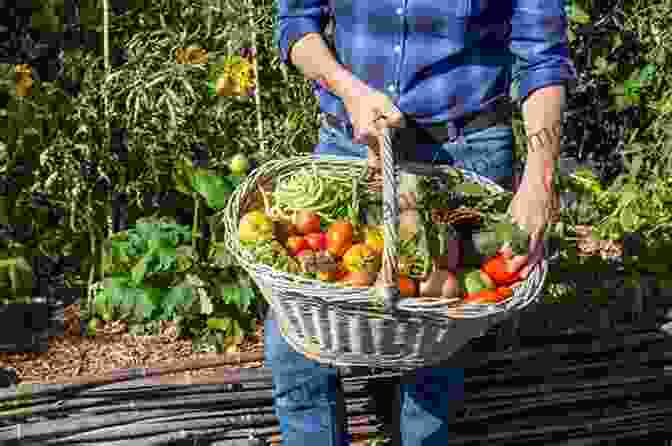 Bountiful Baskets Brimming With Freshly Harvested Vegetables, Showcasing The Rewards Of Your Gardening Efforts. From Trampoline To Vegetable Patch