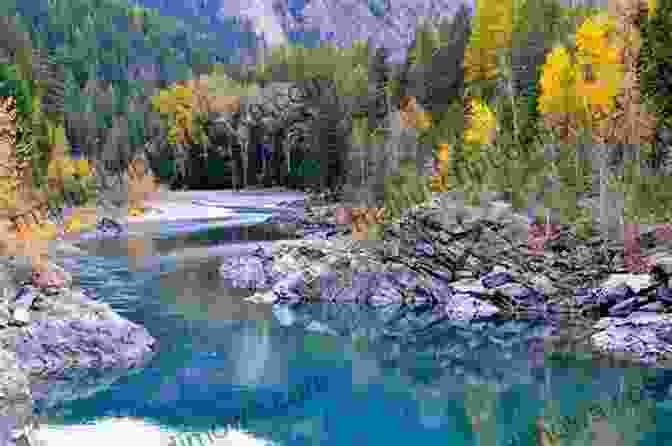 Capture Stunning Images Of Wildlife In Your Backyard Across The River From Glacier National Park Living Across The River From Glacier National Park