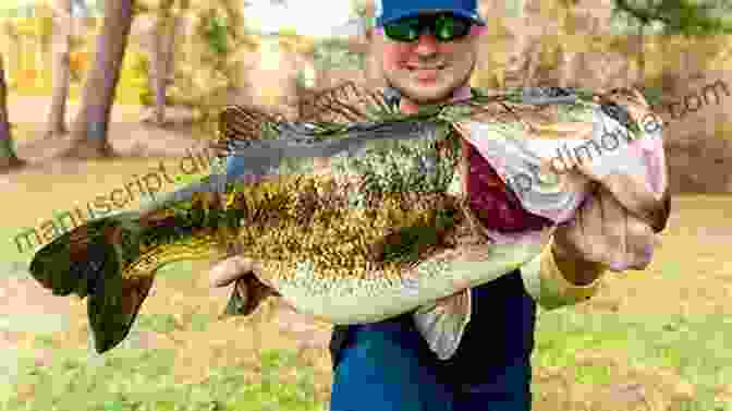 Close Up Of An Angler Holding A Large Bass Caught In A Pond. Stillwater Strategies: 7 Practical Lessons For Catching More Fish In Lakes Reservoirs Ponds