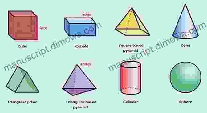 Detailed Diagram Illustrating The Two Dimensional And Three Dimensional Patterns Of The Face Two And Three Dimensional Patterns Of The Face