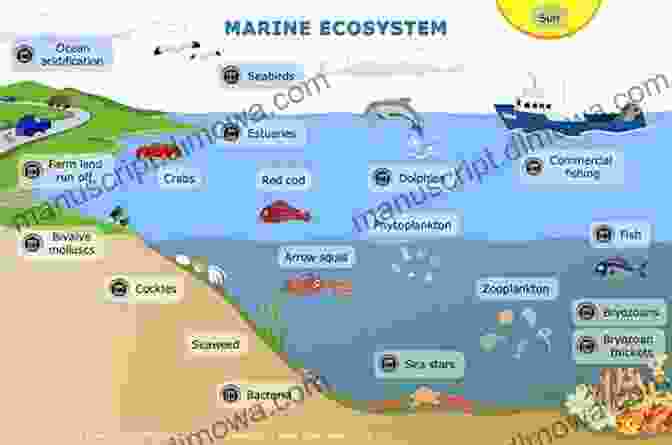 Diagram Illustrating The Feeding Patterns And Habitat Preferences Of Different Fish Species. Stillwater Strategies: 7 Practical Lessons For Catching More Fish In Lakes Reservoirs Ponds