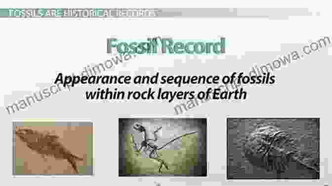 Fossil Record Revealing The Diversity Of Life Throughout Geological History Exposing The Myths Of Evolution