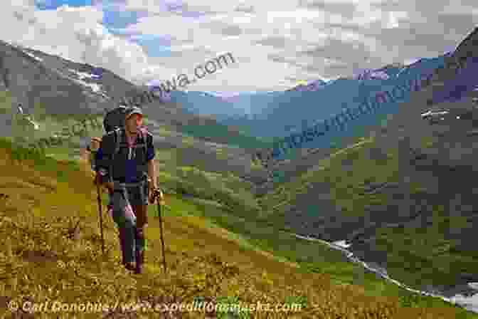 Hikers Trekking Through A Dense Alaskan Forest, Highlighting The Rugged Beauty Of The Landscape Land Of The Radioactive Midnight Sun: A Cheechako S First Year In Alaska