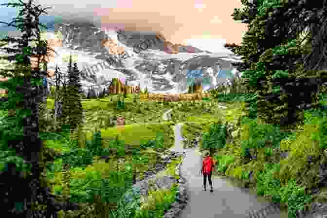 Hikers Trekking Through A Lush Forest Trail In Mount Rainier National Park Best Easy Day Hikes Mount Rainier National Park 2nd (Best Easy Day Hikes Series)