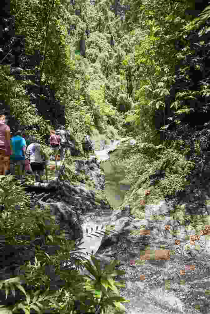 Hiking Through The Lush Rainforest Of Fiji Fiji Picture Book: World Tour