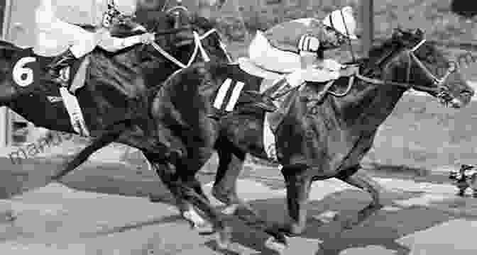 John Henry Winning The 1981 Preakness Stakes John Henry: Thoroughbred Legends Steve Haskin