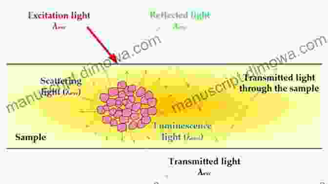 Nano Optics Experimental Setup For Studying Light Matter Interactions At The Nanoscale Progress In Nanophotonics 3 (Nano Optics And Nanophotonics)