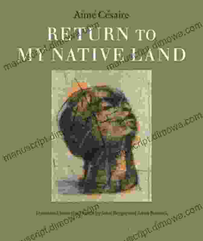 Return To My Native Land Book Cover Featuring An African Woman Gazing Out Over The Vast Landscape Return To My Native Land