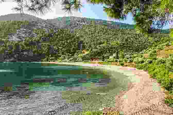 Tranquil Beach On Skyros Skyros Blue Guide Chapter (from Blue Guide Greece The Aegean Islands)