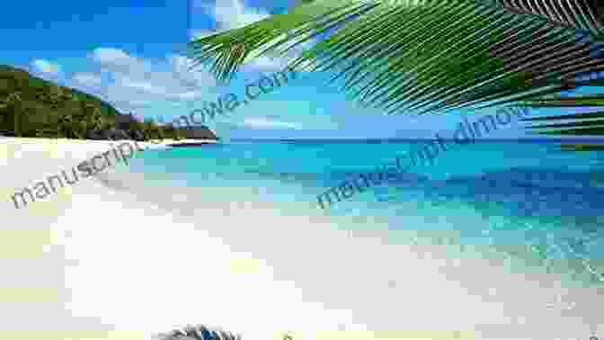 White Sand Beaches Of Fiji Fiji Picture Book: World Tour