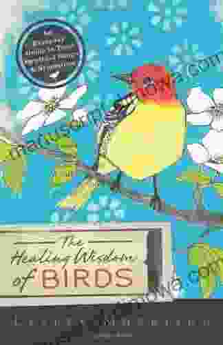 The Healing Wisdom Of Birds: An Everyday Guide To Their Spiritual Songs Symbolism