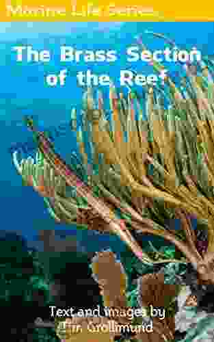 The Brass Section Of The Reef