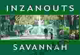 INZANOUTS Savannah Barbara Nefer