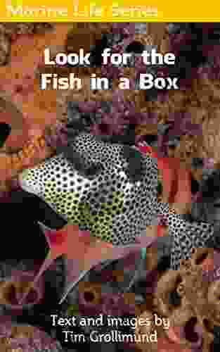 Look for the Fish in a Box