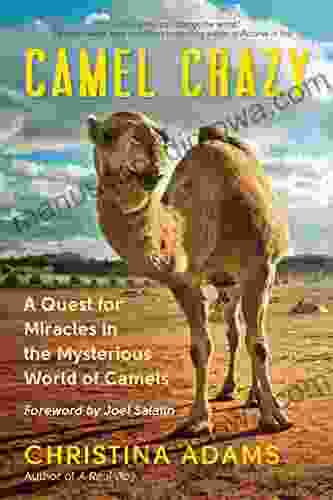 Camel Crazy: A Quest for Miracles in the Mysterious World of Camels