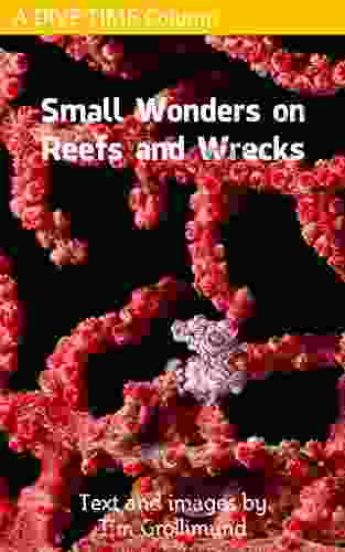 Small Wonders On Reefs And Wrecks