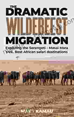 The Dramatic Wildebeest Migration: Exploring The Serengeti Masai Mara Trek Best African Safari Destinations