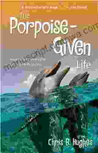 The Porpoise Given Life Inspiration From The Cetacean Nation