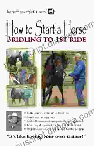 How To Start A Horse: Bridling To 1st Ride (Horse Training How To 4)