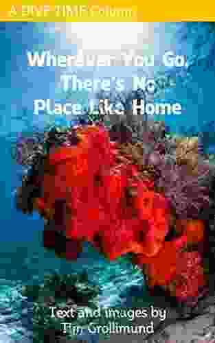 Wherever You Go There s No Place Like Home