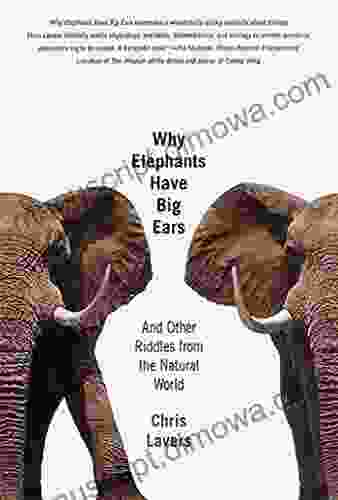 Why Elephants Have Big Ears: Understanding Patterns of Life on Earth